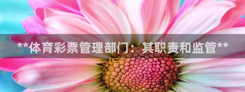 b体育官网下载入口a