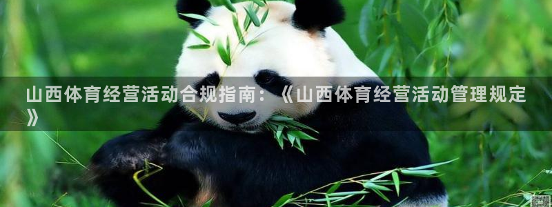必一体育服下载最新版