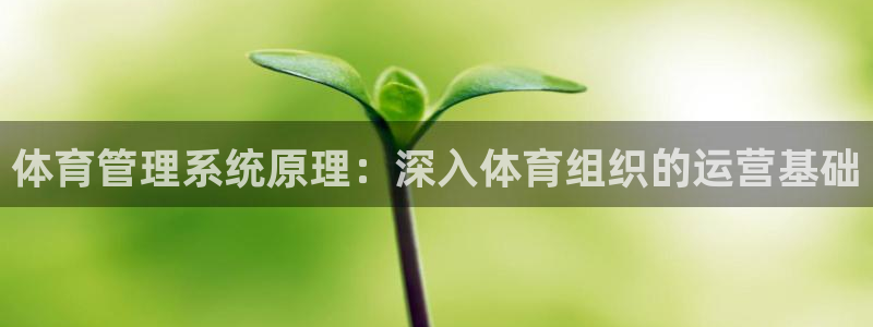 必一体育app下载：