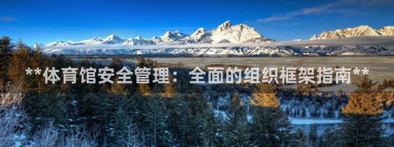 必一体育网页版登录：