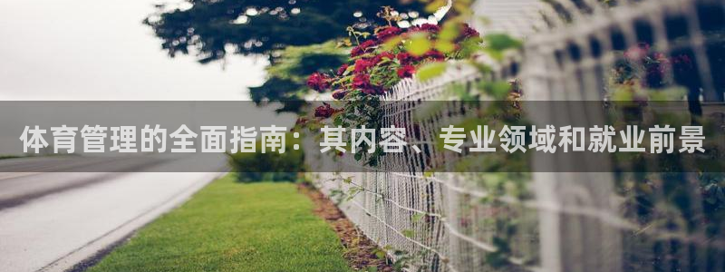必一运动aop：体育