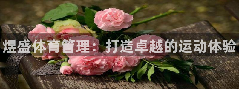 必一体育运动平台官网