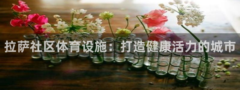 必一体育黑钱：拉萨社