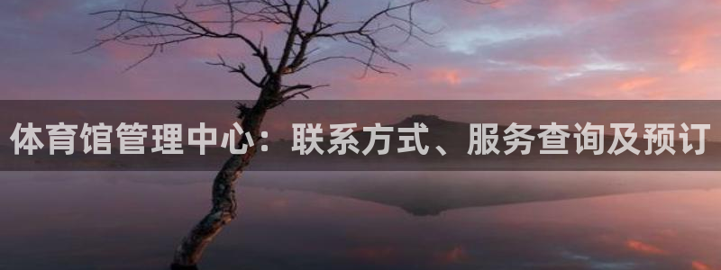 必一体育sportB