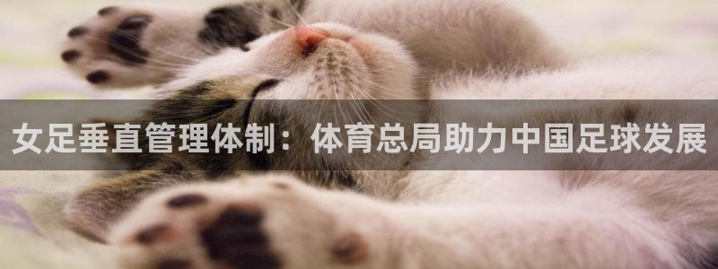 必一体育网页：女足垂