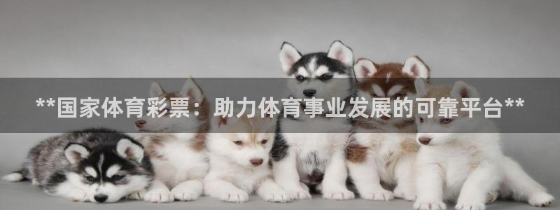 必一体育下载入口：*