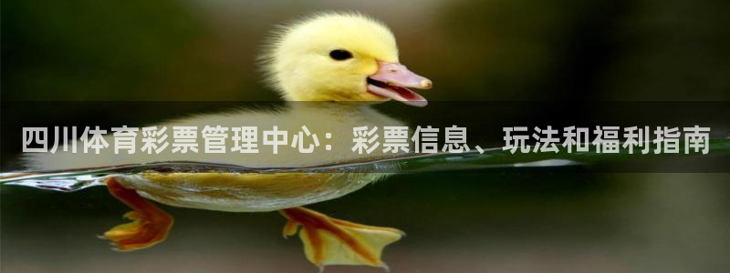 必一体育合法吗：四川
