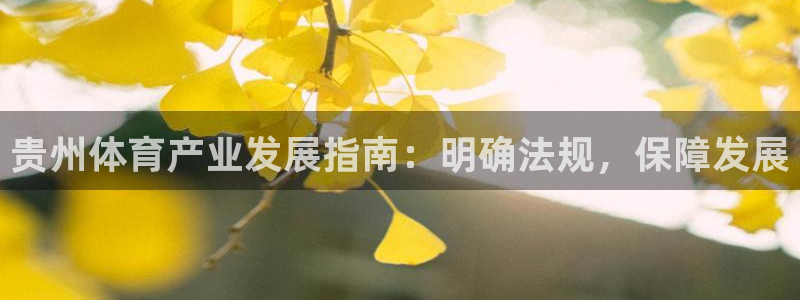 必一体育在线下载：贵