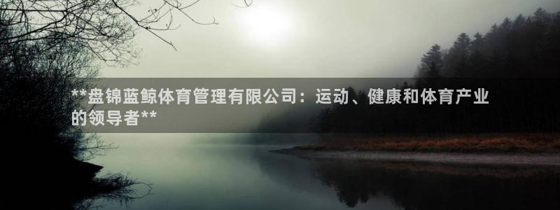必一体育在哪下：**