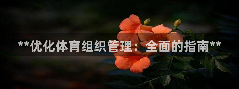 必一运动·(B-sp
