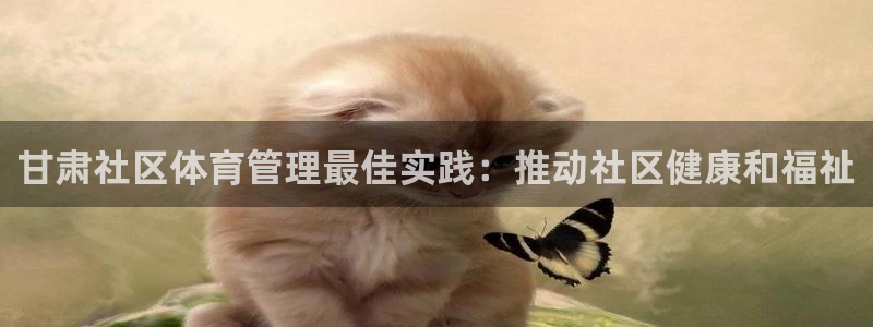 必一运动aop：甘肃