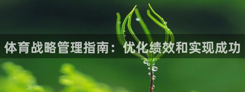 必一体育网页登陆：体