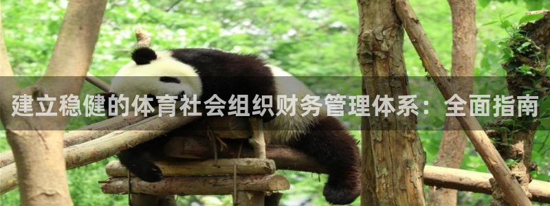 必一体育运动app：
