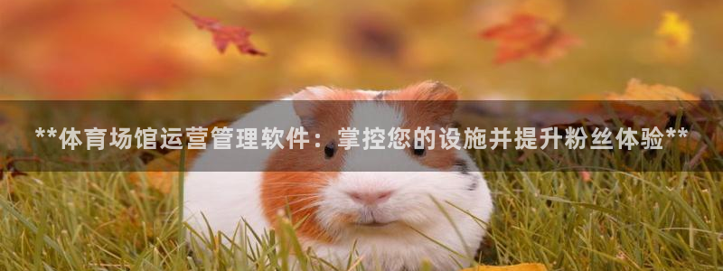 必一体育官网网站：*
