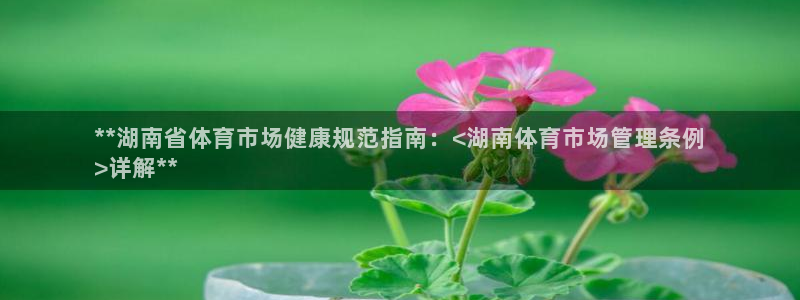 必一体育sportB