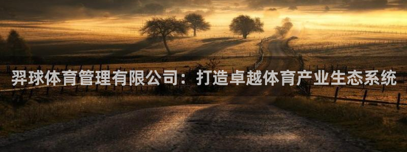 必一体育官方下载：羿