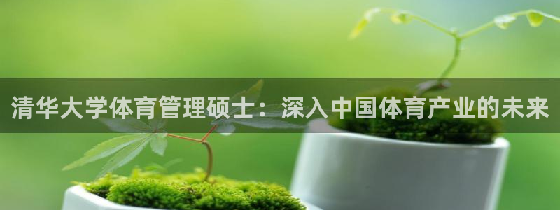 必一体育app下载装