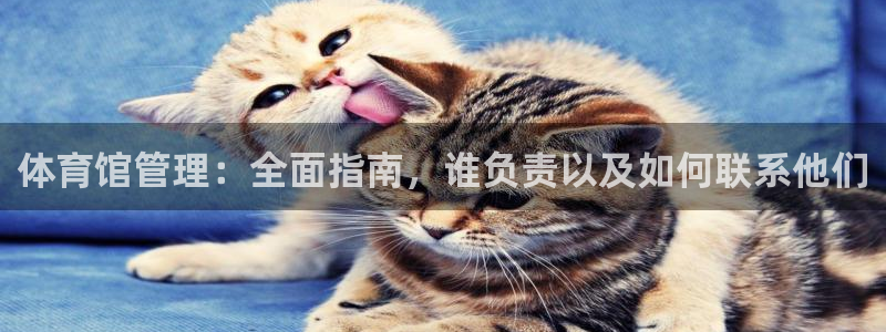 必一体育可靠吗：体育