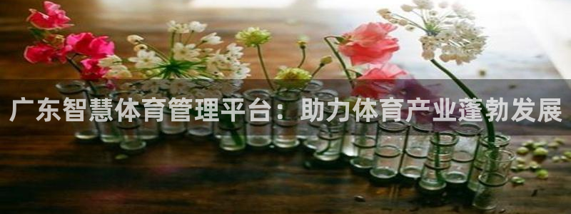 必一体育app下载最