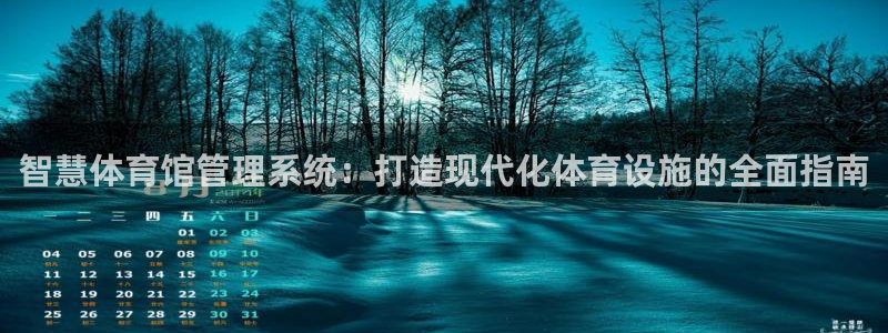 必一体育在线玩：智慧