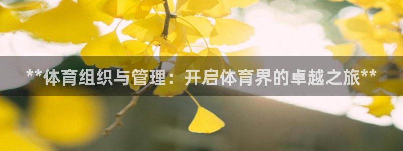 必一体育游戏玩法：*