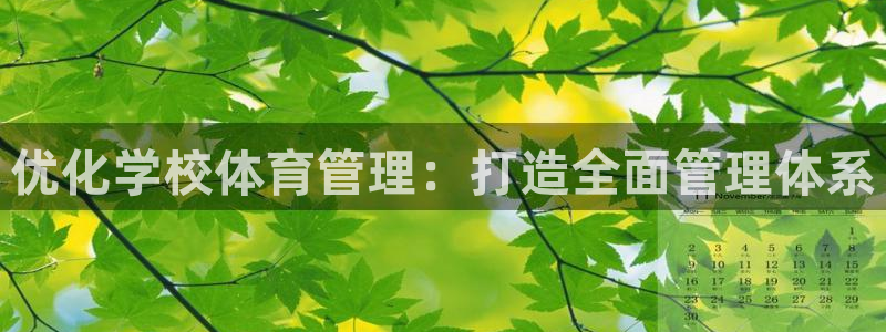 必一体育官方下载入口