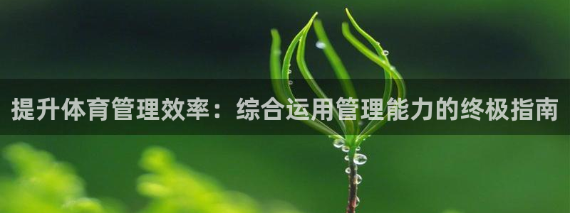 必一体育运动平台官网