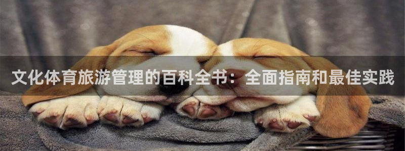 必一体育官网入口：文