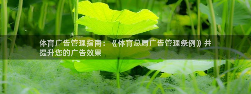 必一体育sport装