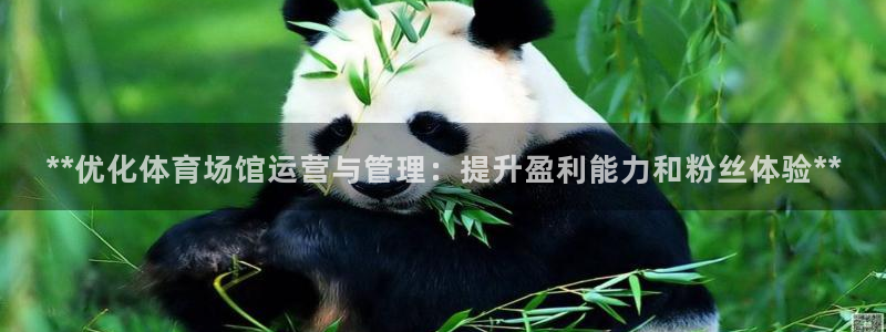 必一体育网站：**优