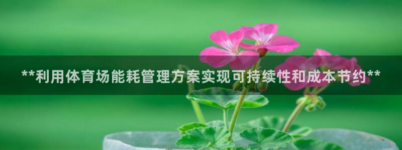 必一体育下载入口：*