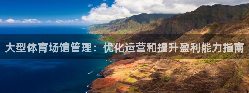 必一体育APP：大型