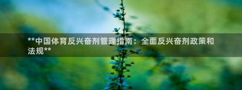 必一运动 b 体育素
