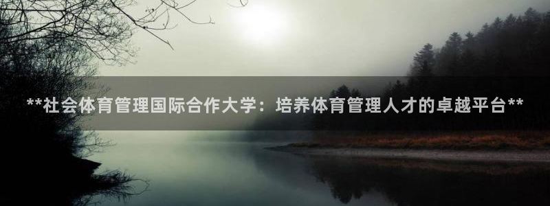 必一体育在线下载：*