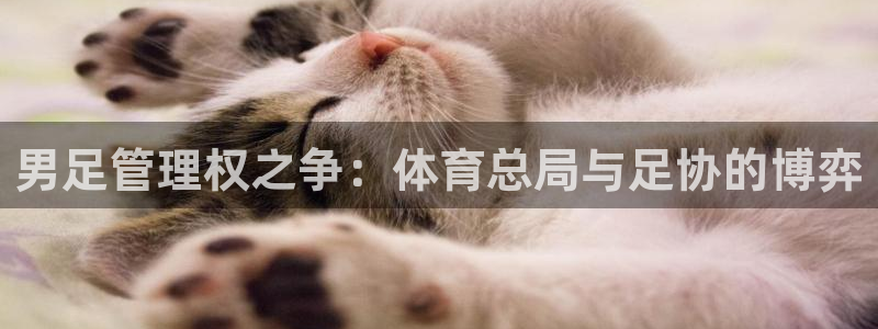 必一体育：男足管理权