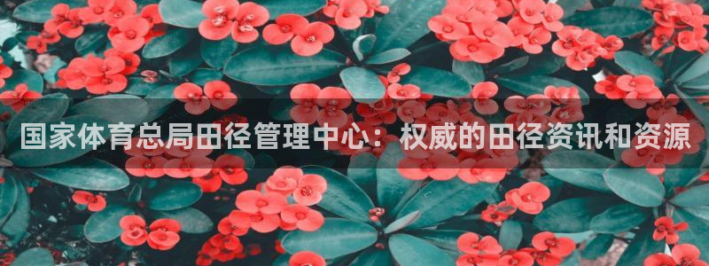 必一体育网页登陆：国
