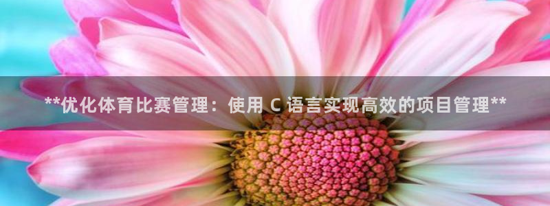 必一体育游戏玩法：*