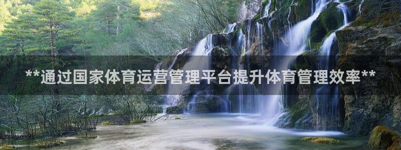 必一体育官方网站入口