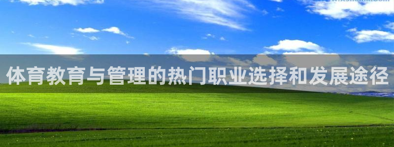 必一体育下载移动版：