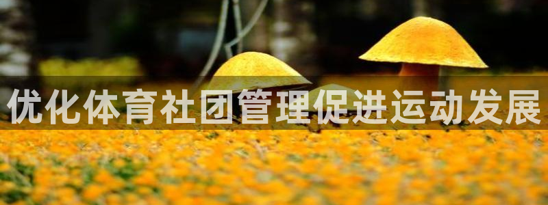 必一运动短信：优化体