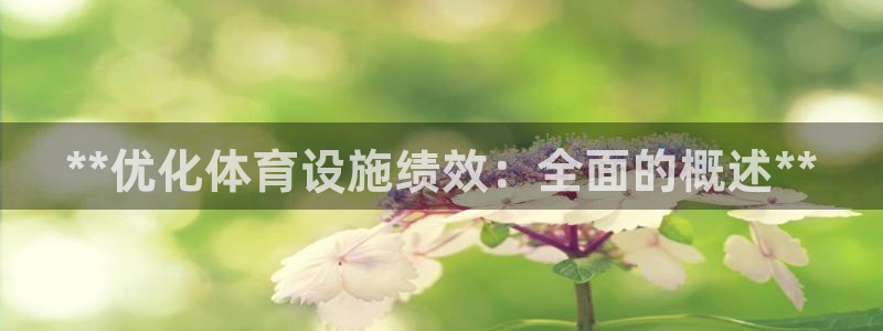 必一体育官网网址：*