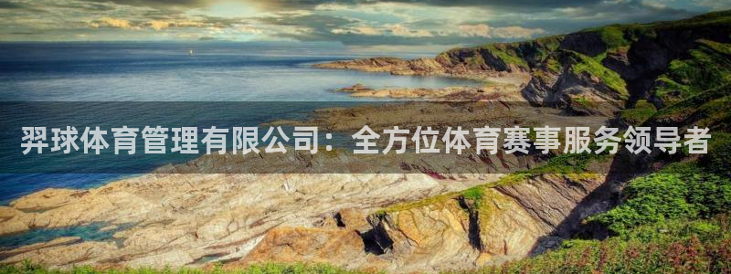 氵必一一厂一：羿球体