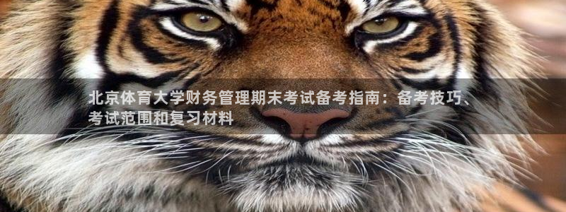 必一体育官网app：