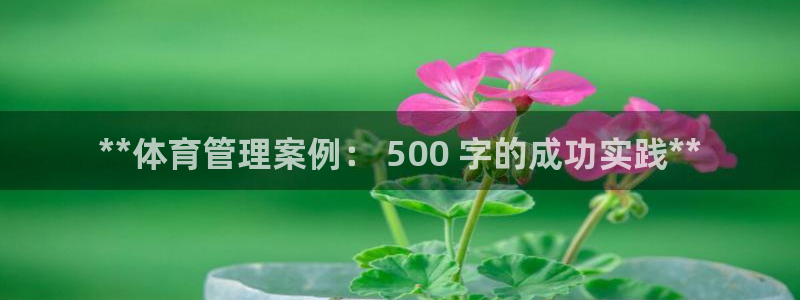必一运动·(B-Sp