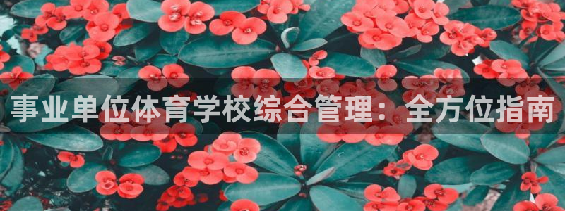 必一体育网站：事业单