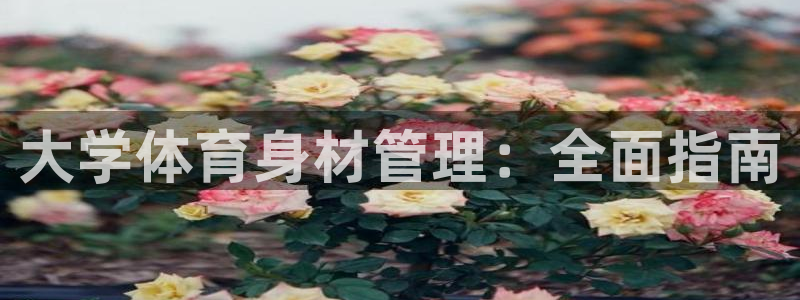 必一体育网址：大学体