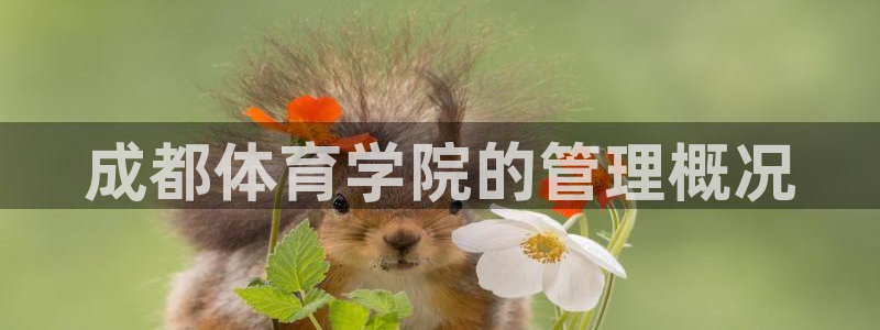 必一运动体育：成都体