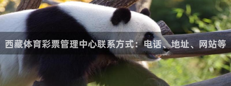 必一体育官方下载：西