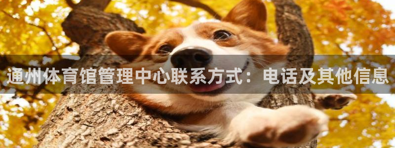 必一体育合法吗：通州