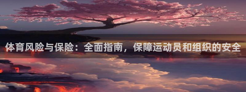 必一运动体：体育风险